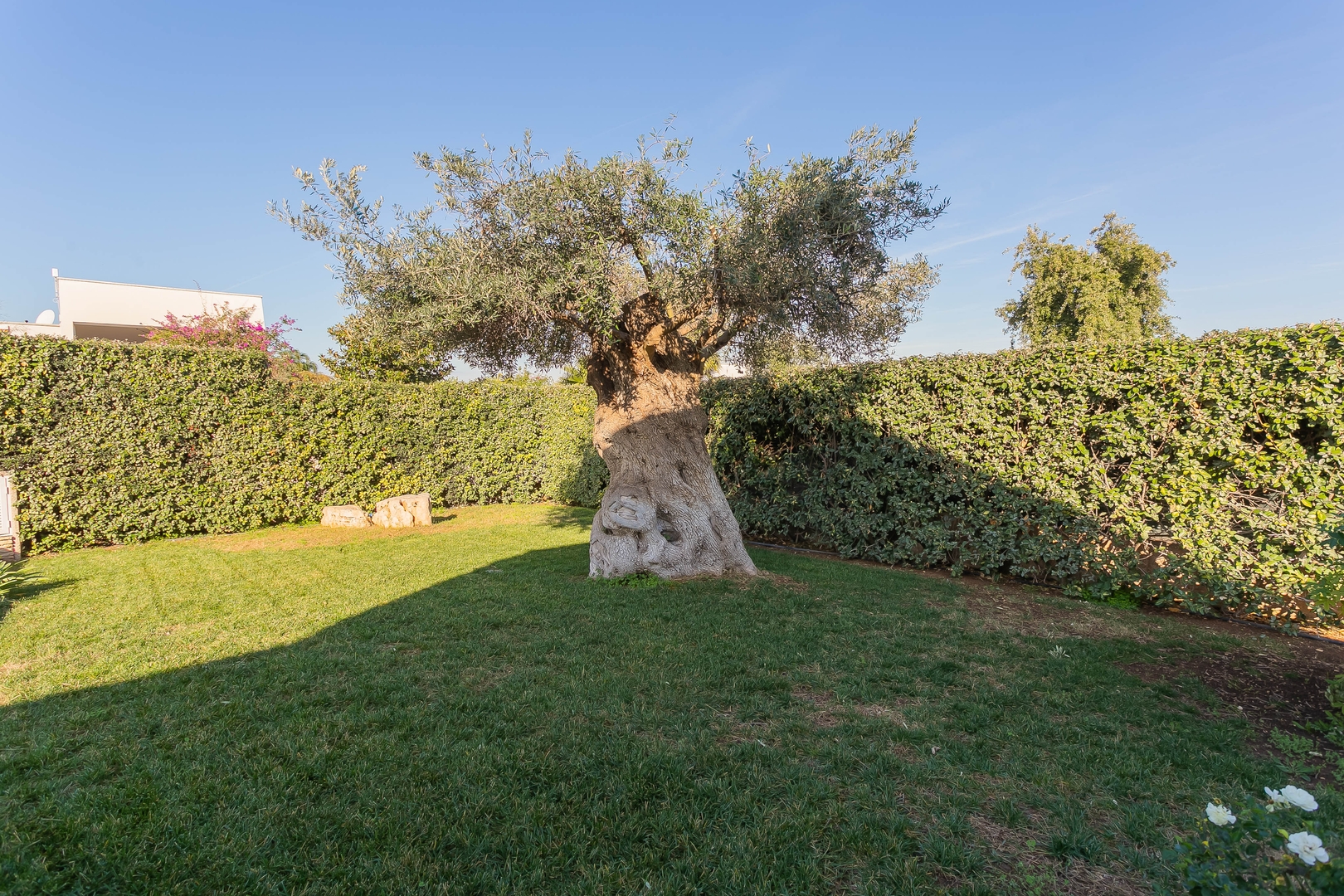 Villa Lucilla – Polignano a Mare 66 Villas in Italy
