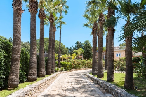 Villa Rossana - Private villa near Syracuse 3 Villas in Italy
