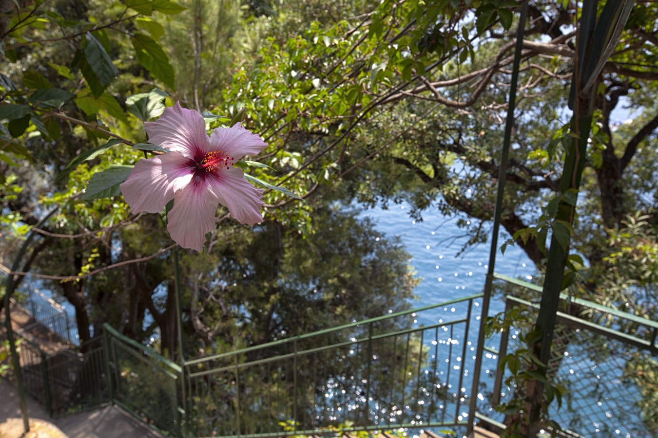 Villa Affascinante - Luxury villa with direct sea access 36 Italian Breaks