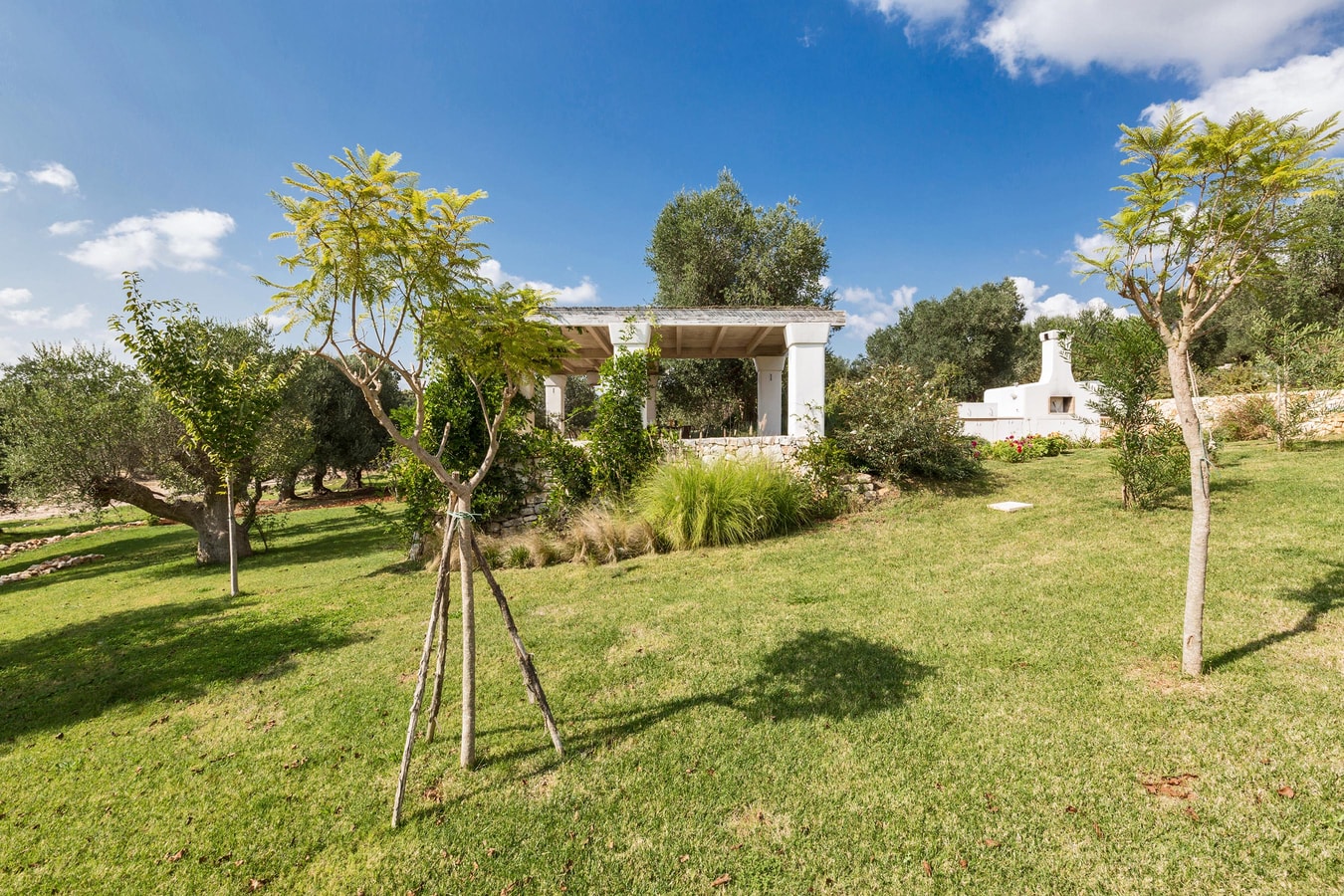 Villa Sarita - Private countryside villa with pool 45 Italian Breaks