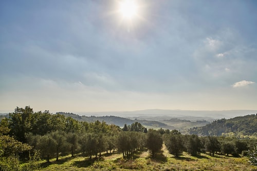 Villa Luisa - Farmhouse with private pool 38 Italian Breaks