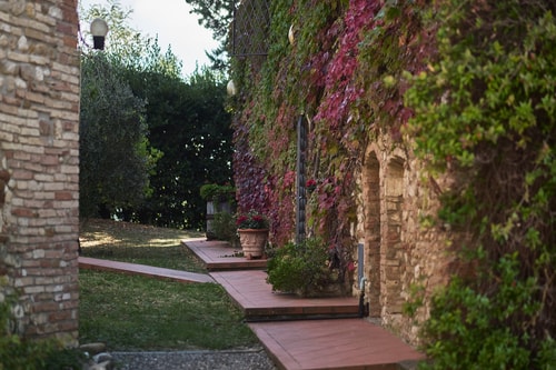 Villa Luisa - Farmhouse with private pool 40 Italian Breaks