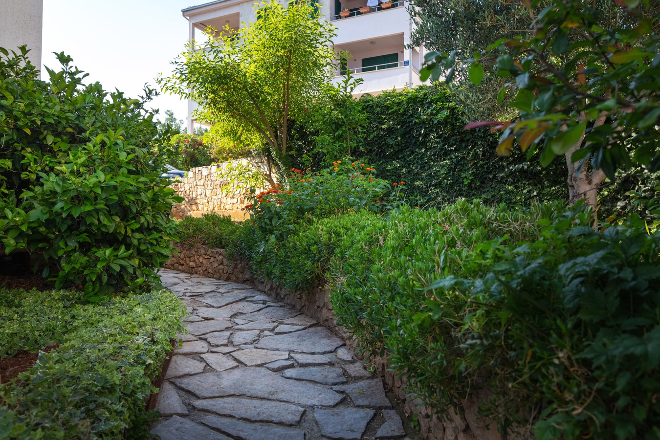 Villa Joica - Brac Island, Coastal Villa with Pool 20 My Villa Breaks