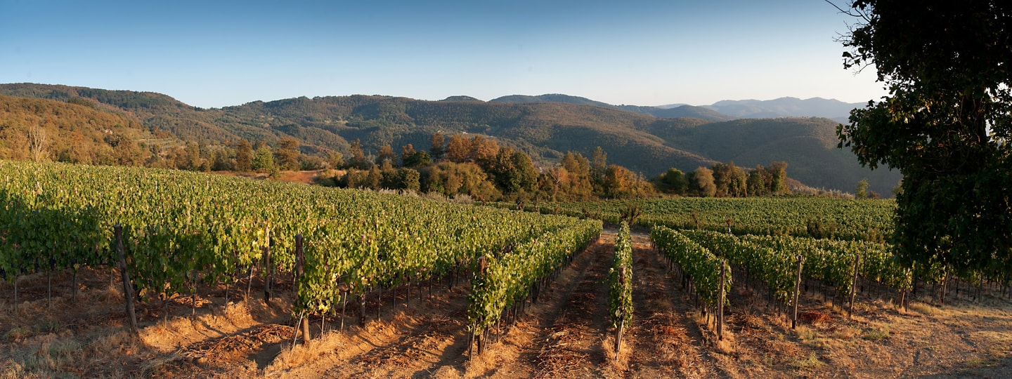 Villa Ducese Mandorla - Tuscan villas with private pool 41 Italian Breaks