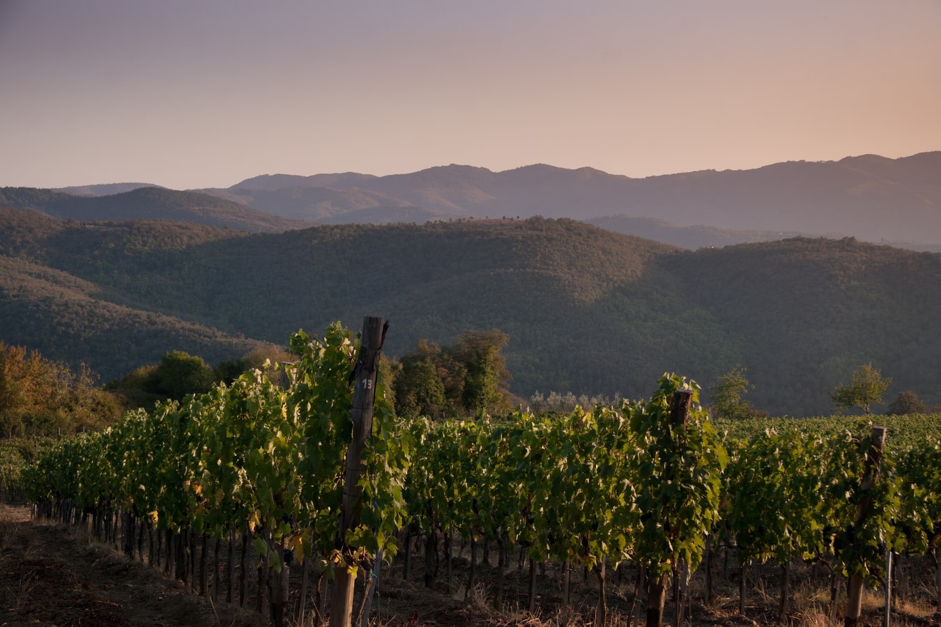 Villa Ducese Mandorla - Tuscan villas with private pool 42 Italian Breaks