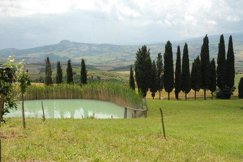 Villa Canneto - Tuscan Farmhouse with private pool 20 Italian Breaks