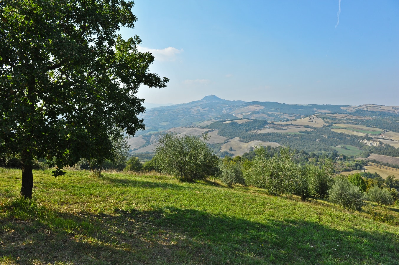 Villa Brigida - Country house with private pool 23 Italian Breaks