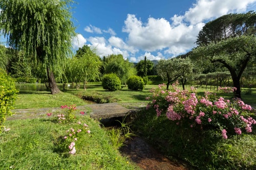 Luxury Villa in Tuscany with Swimming Pool 44 Italian Breaks
