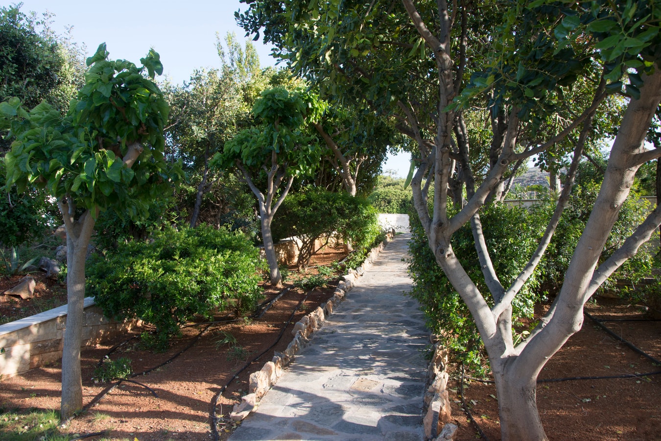 Luxury modern villa with swimming pool in Crete 17 My Villa Breaks