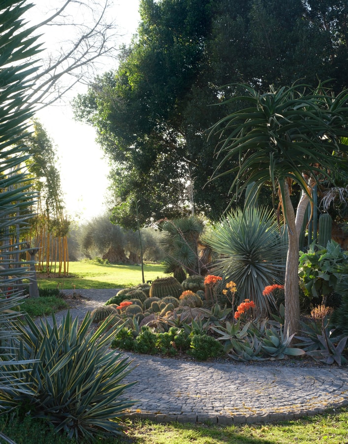 Private villa with swimming pool in Sicily 28 Italian Breaks