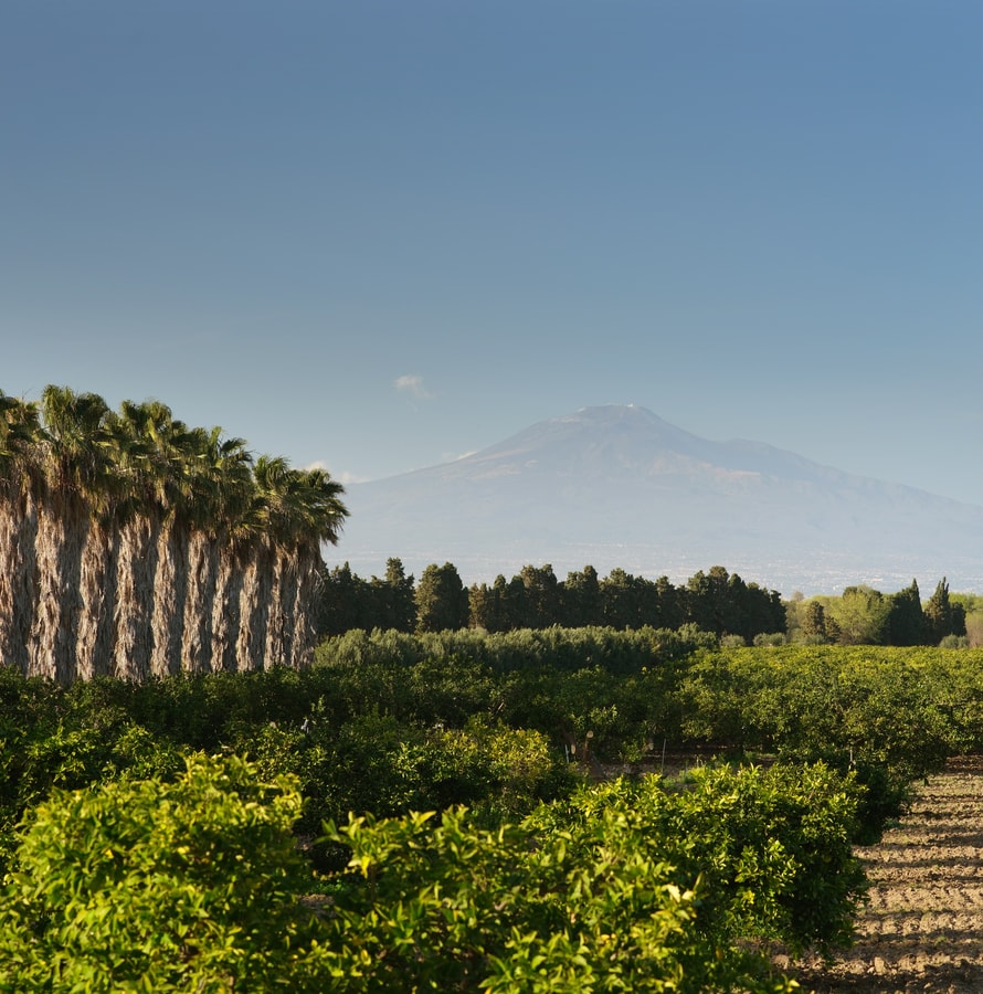 Private villa with swimming pool in Sicily 29 Italian Breaks
