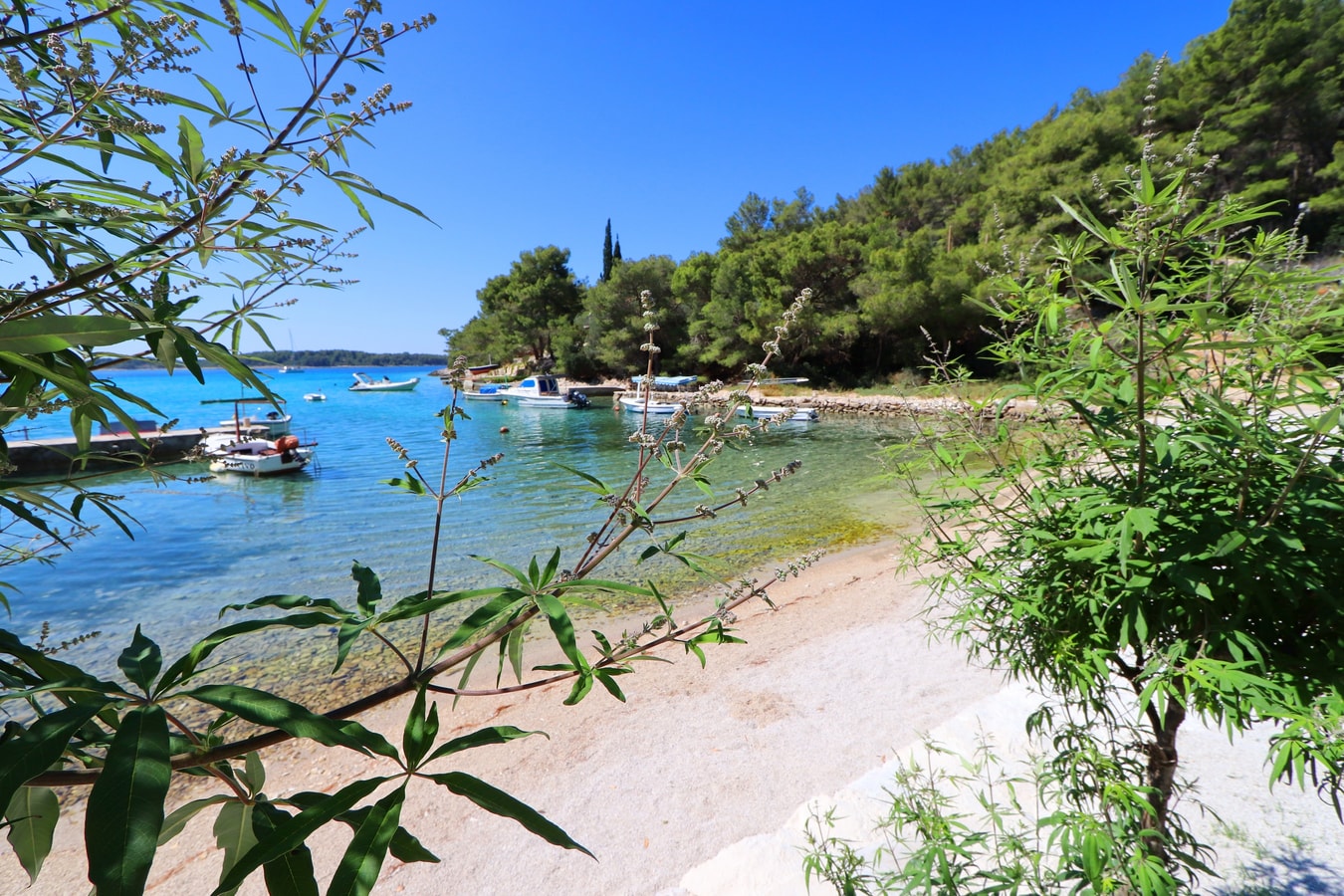 Villa Valpurga - Private villa with pool, Korcula Island 34 My Villa Breaks