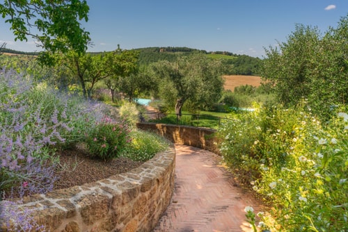 Private villa with swimming pool in Tuscany 53 Italian Breaks