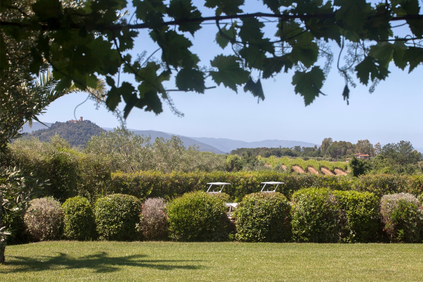 Villa Manuela - Private Tuscan villa with swimming pool 25 Italian Breaks
