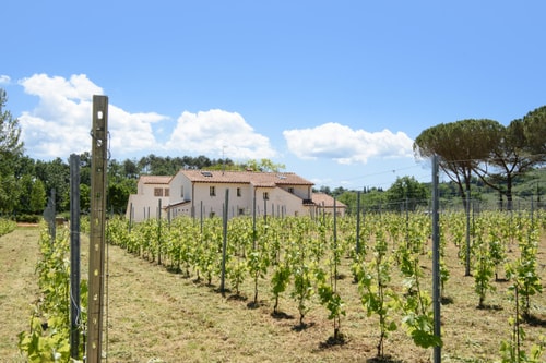Villa Secco - Private Tuscan villa with swimming pool 31 Italian Breaks