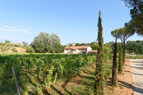 Villa Secco - Private Tuscan villa with swimming pool 34 Italian Breaks