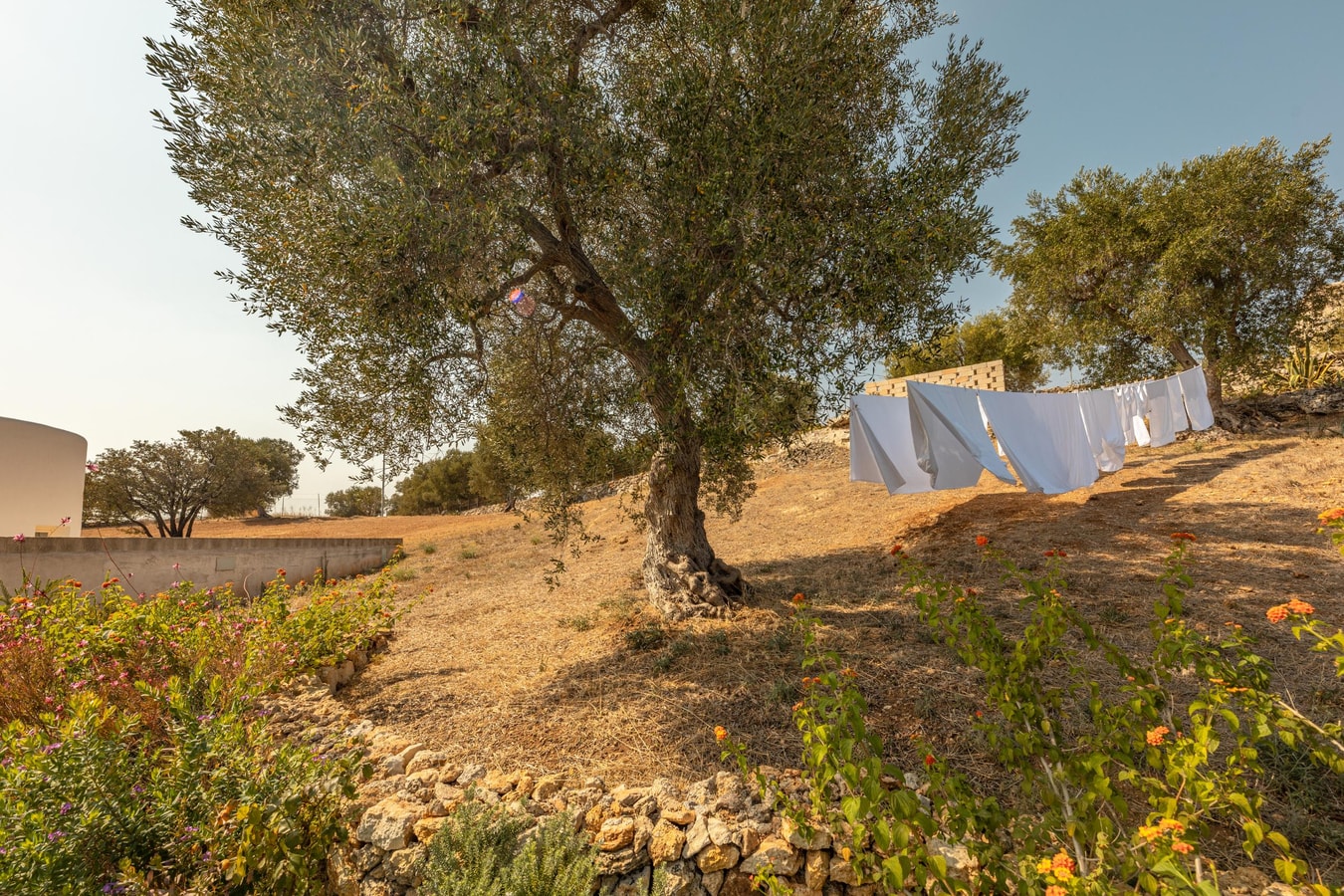 Villa Florina - Private villa with swimming pool in Puglia 40 Italian Breaks
