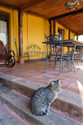 Casa Tranquilla - Countryside House near Syracuse 31 Villas in Italy