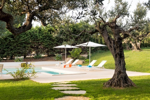 Villa Pigna - Private villa with pool near Trapani 7 Italian Breaks