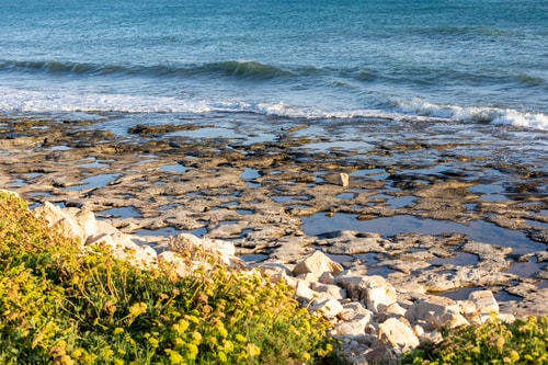 Villa Smeralda, Seafront Villa With Pool 44 Villas in Italy