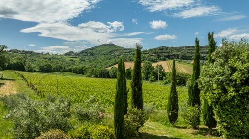 Podere Pulciano - Historic Tuscan farmhouse with pool 64 Italian Breaks