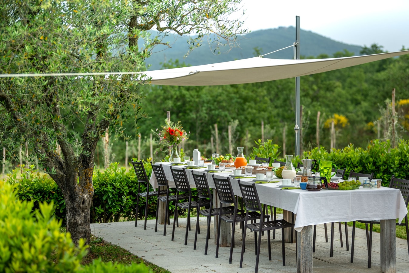 Villa Beatrice, large family villa 2 Villas in Italy