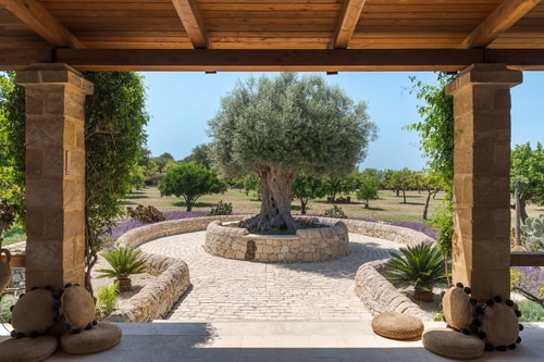 Villa Crisantemo – Noto Area 52 Villas in Italy