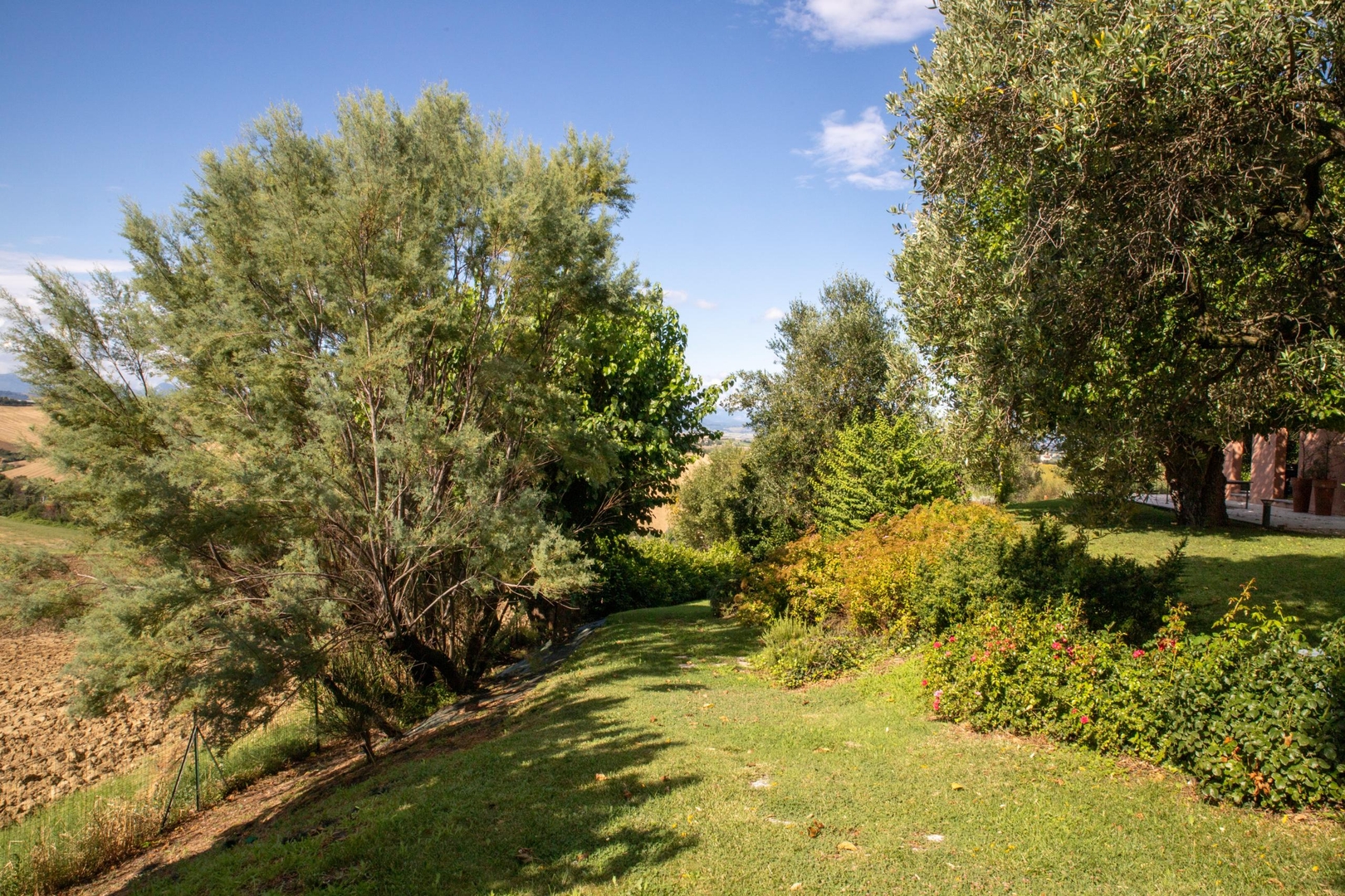 Villa Aconito - Ostra Area 37 Villas in Italy