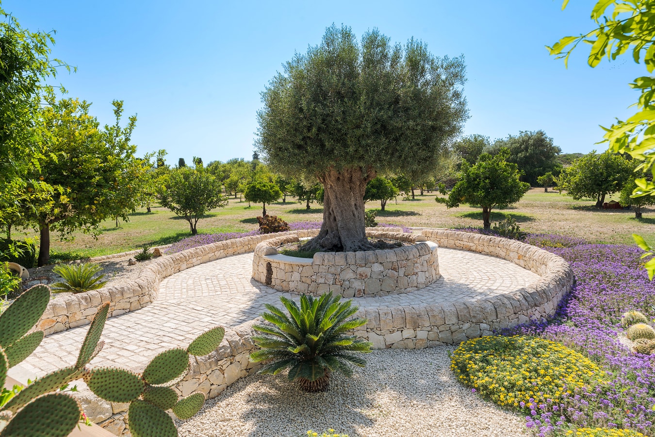 Villa Crisantemo – Noto Area 53 Villas in Italy