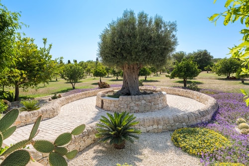 Villa Crisantemo – Noto Area 53 Villas in Italy