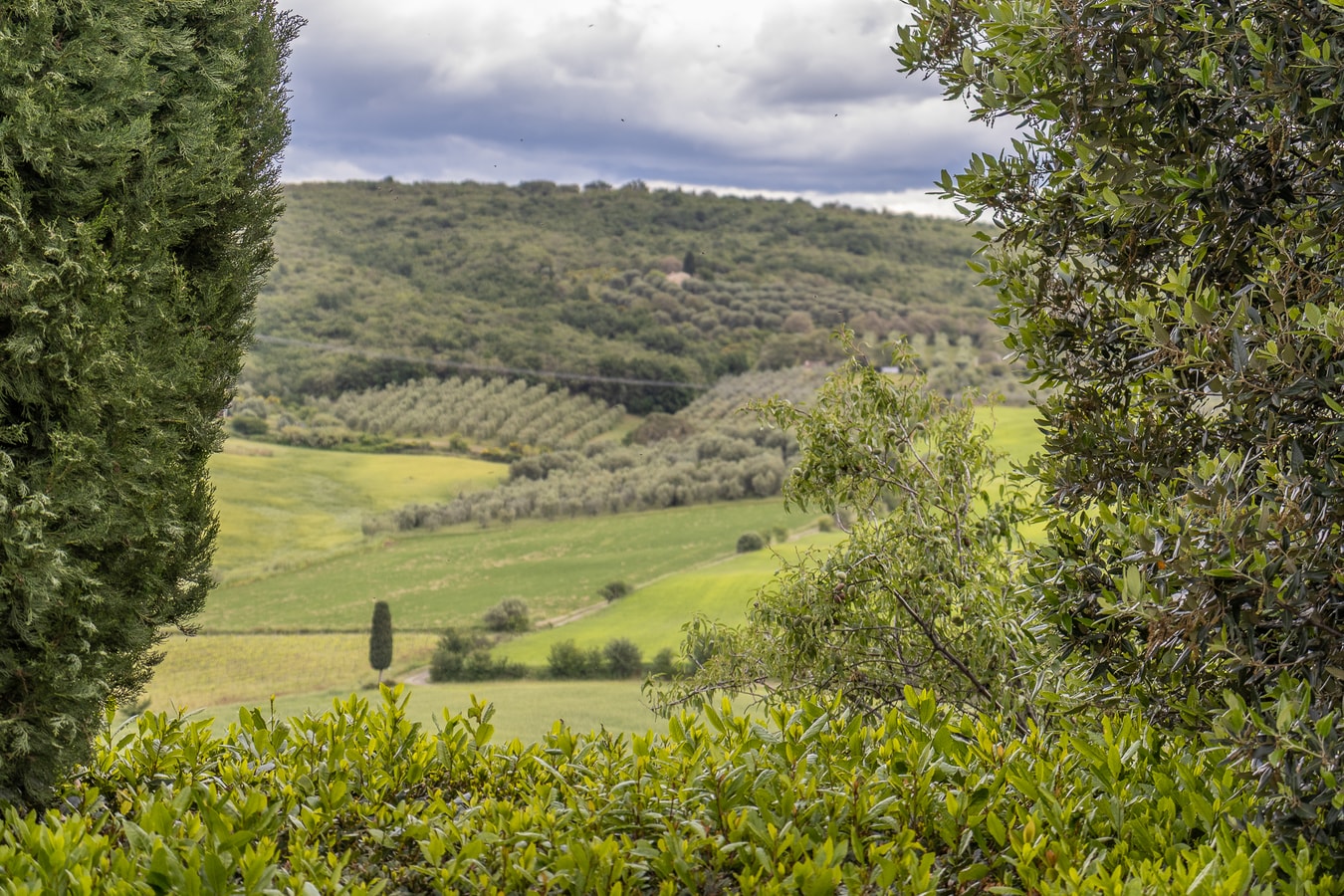 Villa Amiata - Tuscan Farmhouse with private pool 20 Villas in Italy