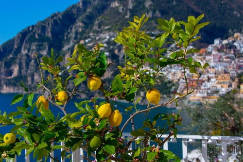 Casa Dalila, walking distance from Positano 51 Italian Breaks