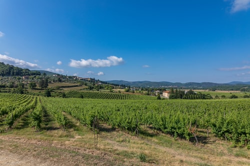 Villa Priscilla, with private pool 31 Villas in Italy