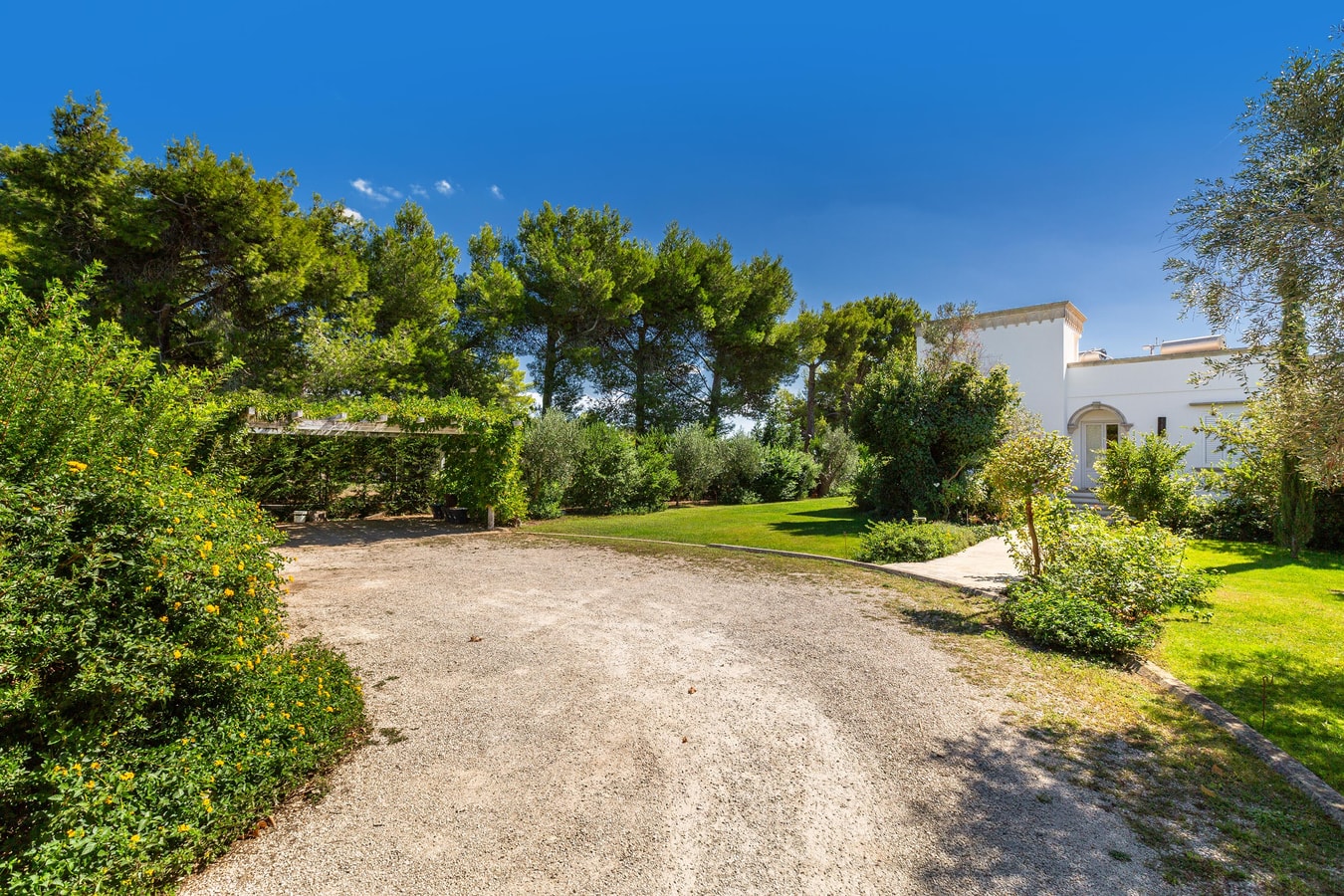 Villa Alice - Private villa with pool in Salento 66 Villas in Italy