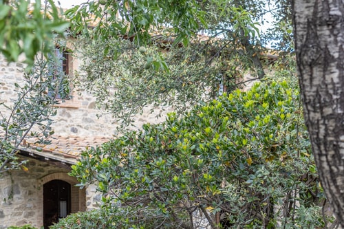 Villa Amiata - Tuscan Farmhouse with private pool 25 Villas in Italy