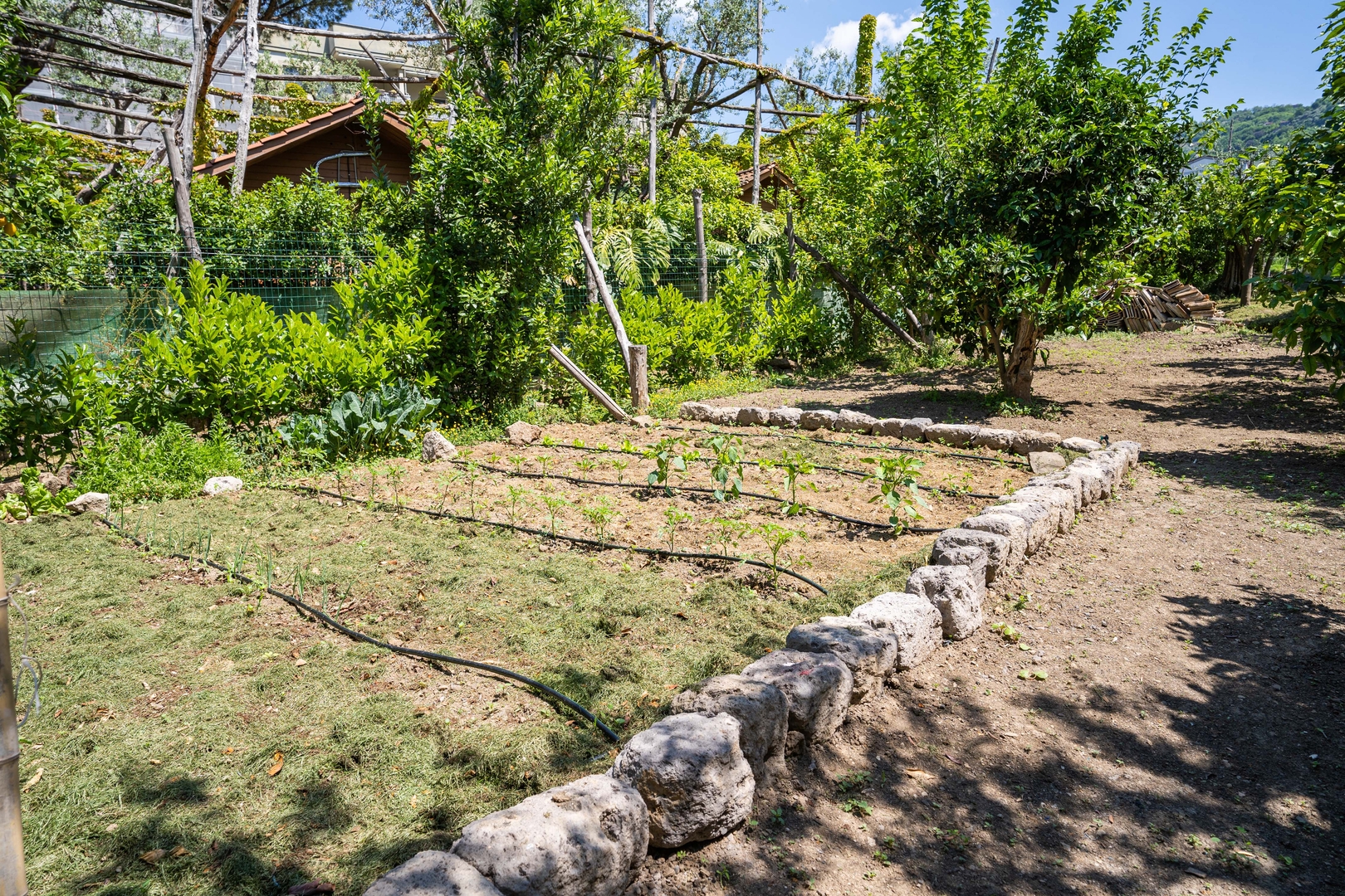 La Limonaia - Family Villa with Garden in Sorrento 27 Villas in Italy