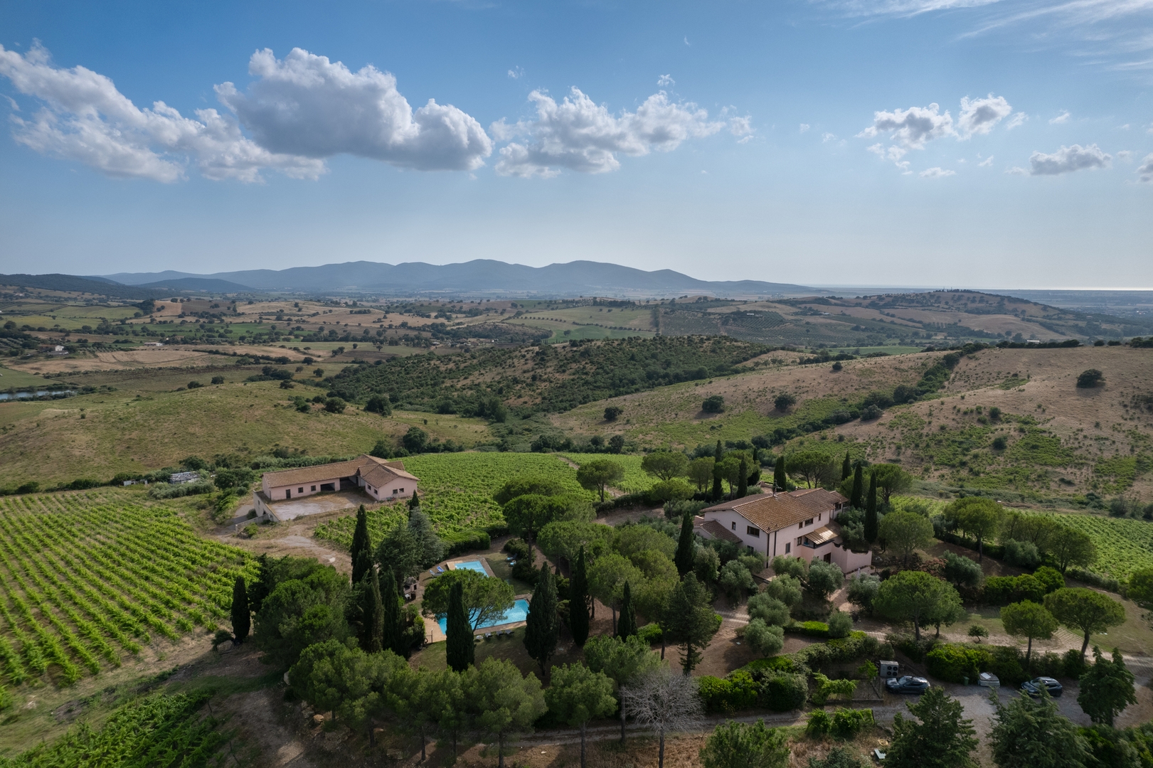 Podere Delle Vigne, in the Vineyards of Maremma 55 Villas in Italy