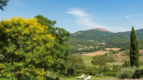 Villa Luminosa, Authentic Umbrian Charm 39 Italian Breaks