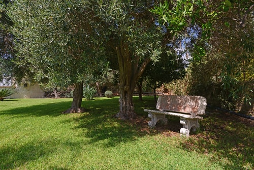 Villa Salvia, with private pool near Syracuse 31 Villas in Italy