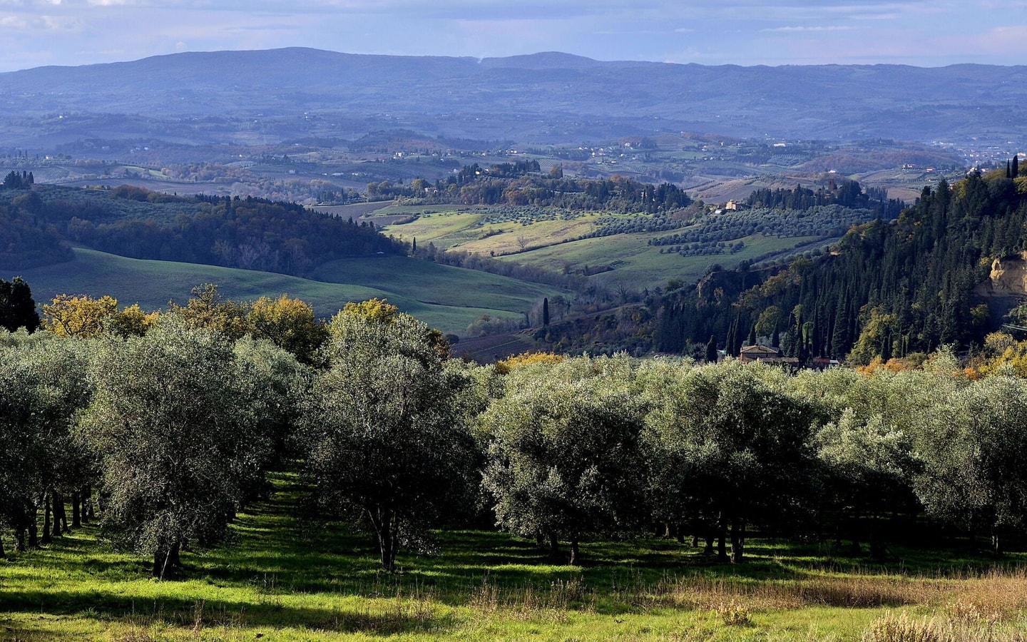 Villa Luisa - Farmhouse with private pool 40 Villas in Italy