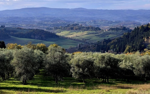 Villa Luisa - Farmhouse with private pool 40 Villas in Italy