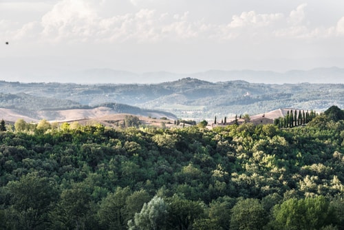 Villa Borghese - Private villa with swimming pool 45 Villas in Italy