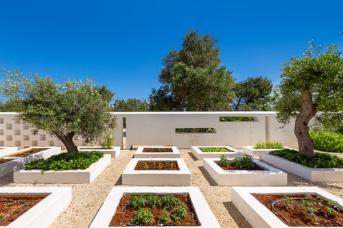 Villa Carovigno - Modern luxurious villa with private pool 24 Villas in Italy