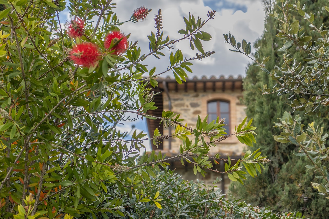 Villa Amiata - Tuscan Farmhouse with private pool 19 Villas in Italy