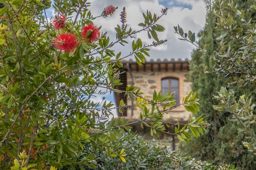 Villa Amiata - Tuscan Farmhouse with private pool 19 Villas in Italy