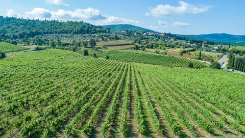 Villa Priscilla, with private pool 28 Villas in Italy