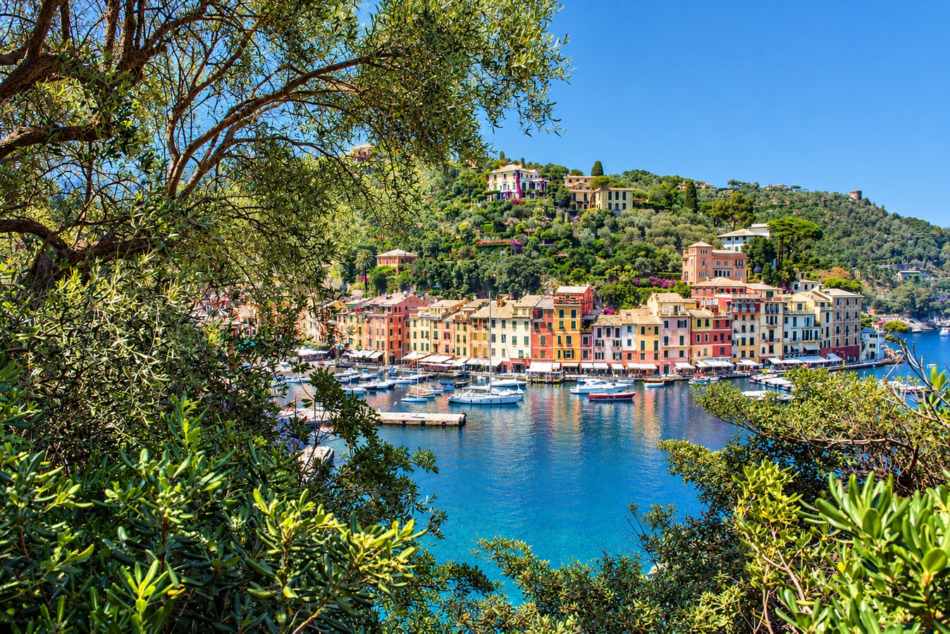 Villa Delfino, private villa in Portofino Villas in Italy