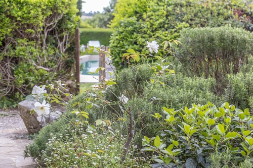 Villa Amiata - Tuscan Farmhouse with private pool 27 Villas in Italy
