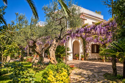 Villa Donatella, Ideal For Large Groups 4 Villas in Italy