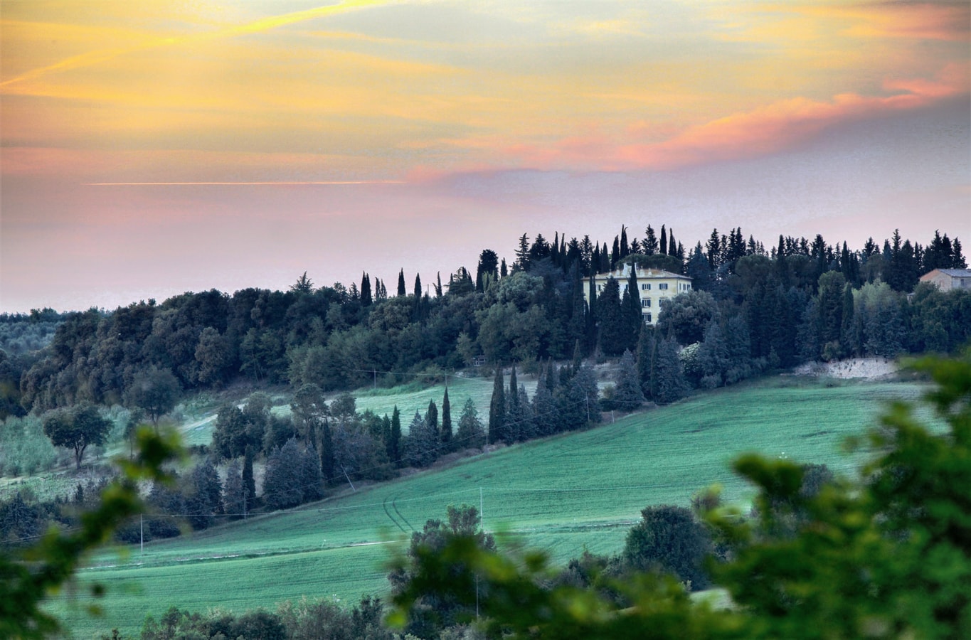 Villa Fiore Fantasma - Private Tuscan villa with pool 43 Villas in Italy